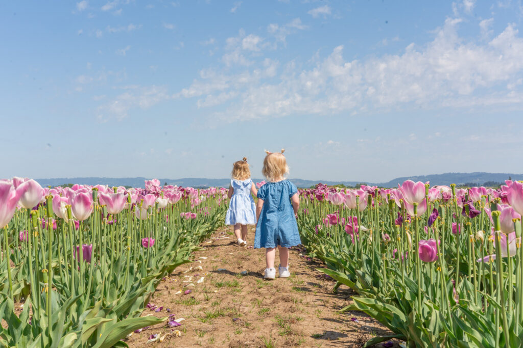 Photo of two toddlers strolling in between rows of tulips