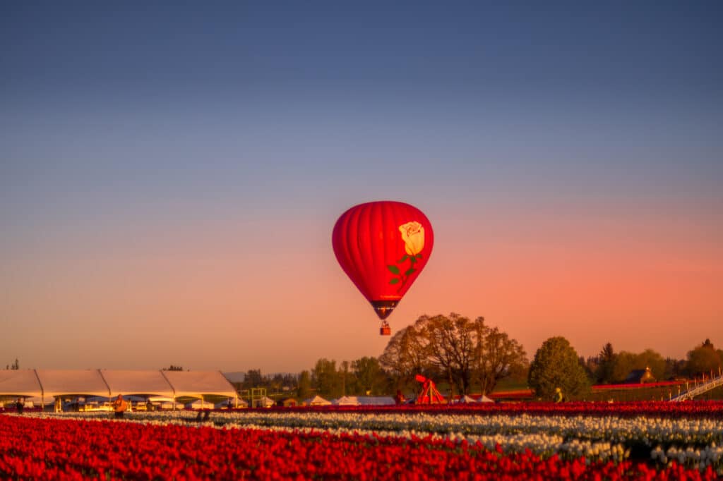 Photo of a hot air balloon ascending from the Wooden Shoe Tulip Festival near Wilsonville, Oregon