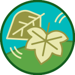 Fall icon