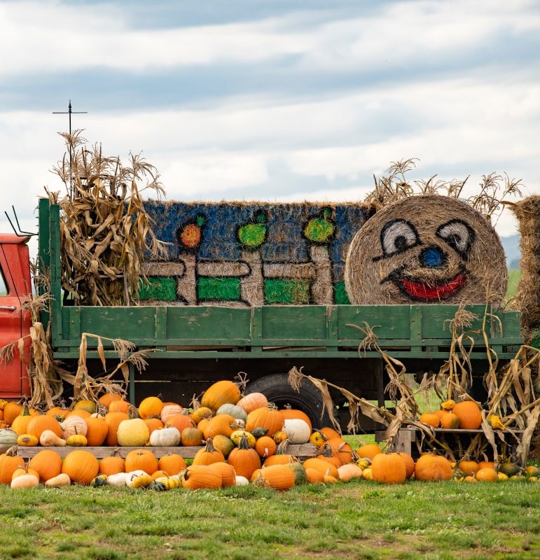 Outdoor pumpkin decorations at French Prarie Gardens
