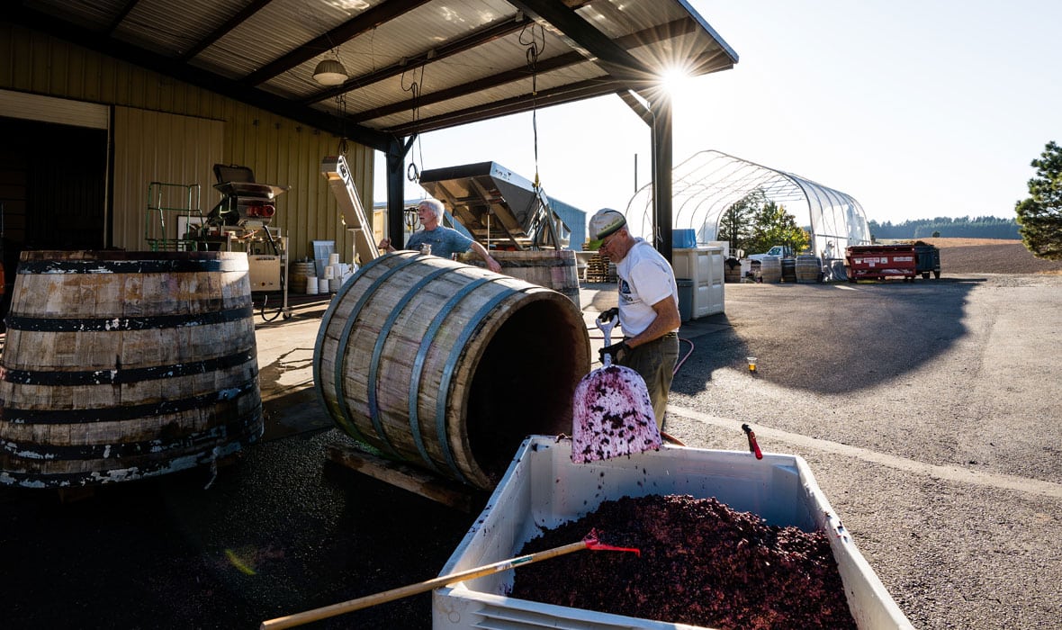 Harvest season at Sineann Winery in St. Paul Oregon