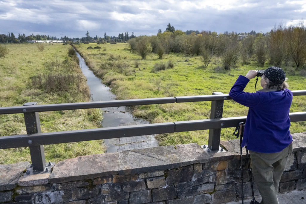 Woman using binoculars to look at Coffee Lake Wetlands