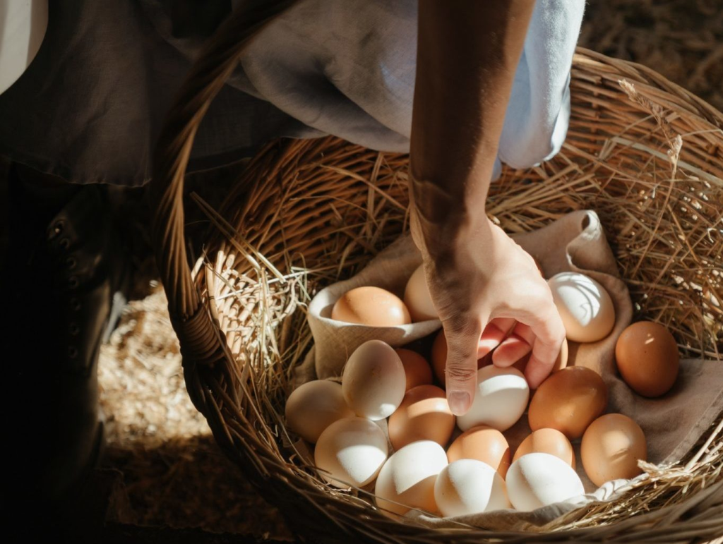 Man picking eggs from a basket