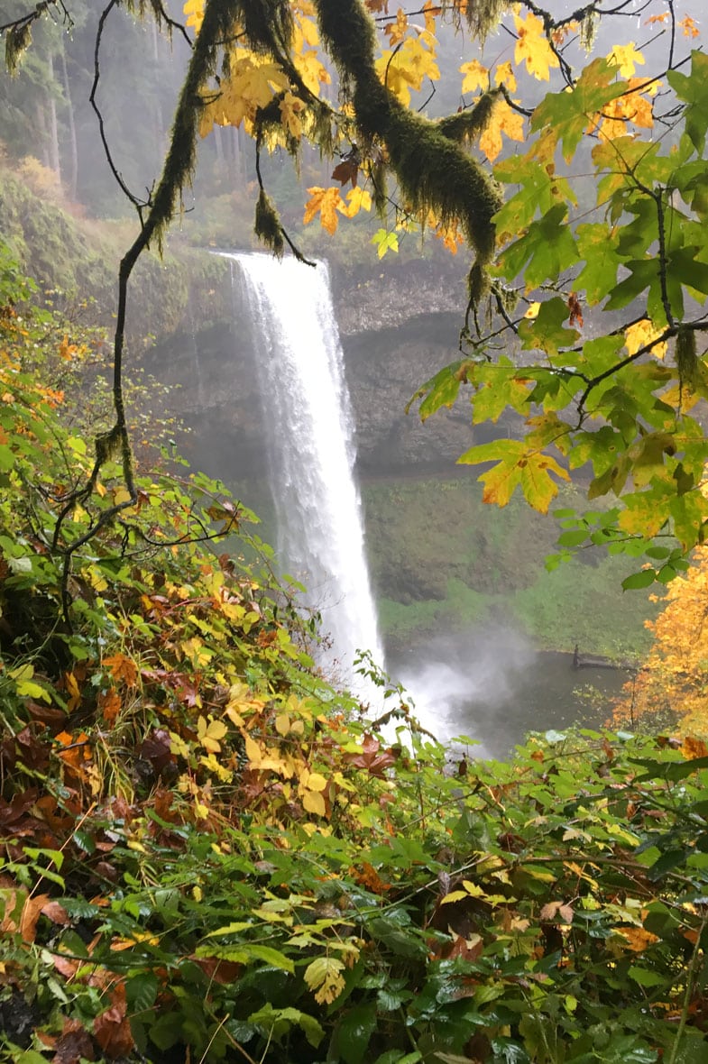 Silver Falls State Park, the Crown Jewel of Oregon Parks