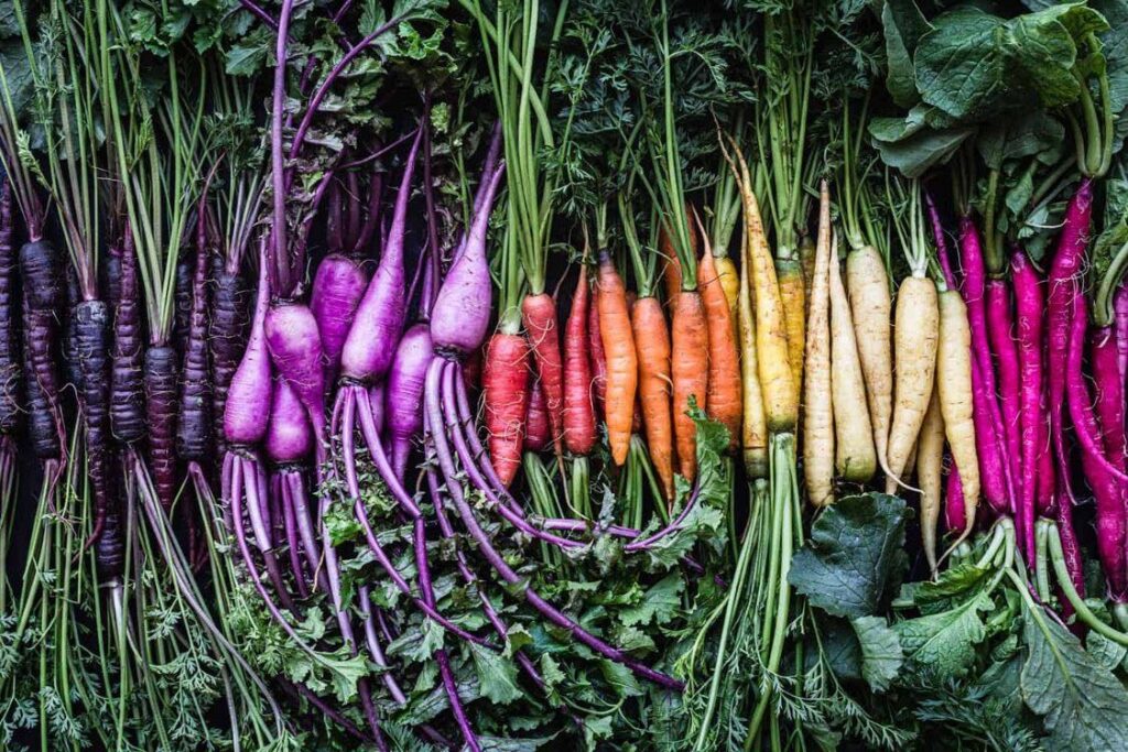 photo of root vegetables at weekly Wilsonville Oregon Farmers Market