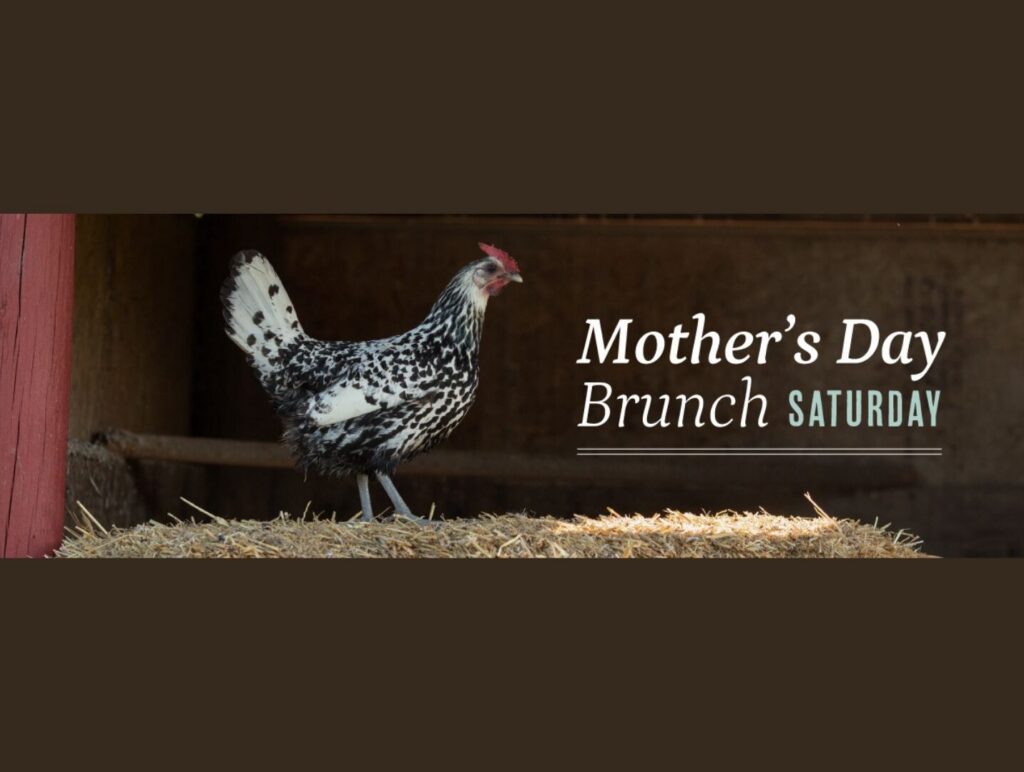 Mother's Day Brunch at Middleground Farms in Wilsonville event graphic