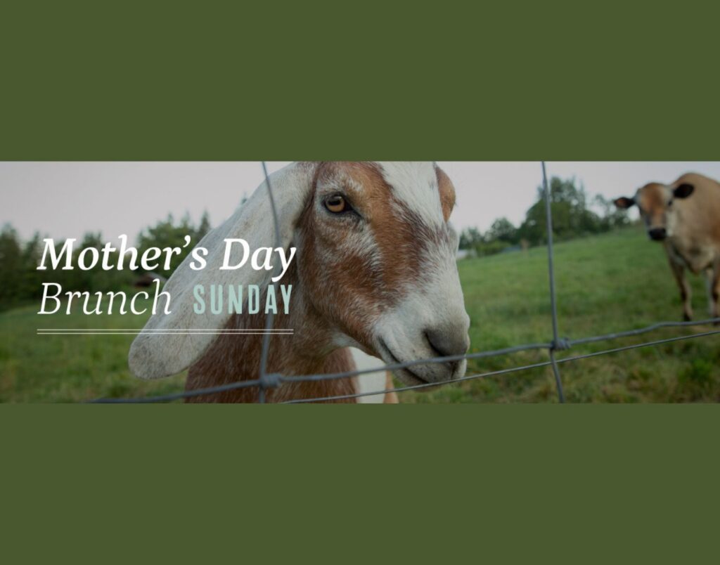Mother's Day Brunch at Middleground Farms in Wilsonville event graphic
