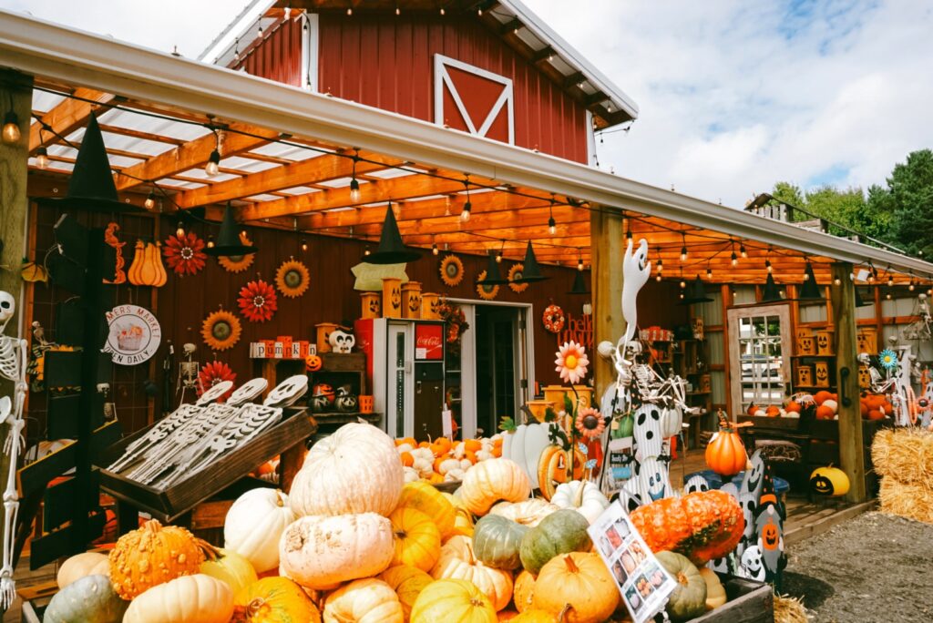 Photo of Yesteryear Farms red barn with pumpkins and halloween decor out front (Must-Do Fall Activities In and Around Wilsonville)