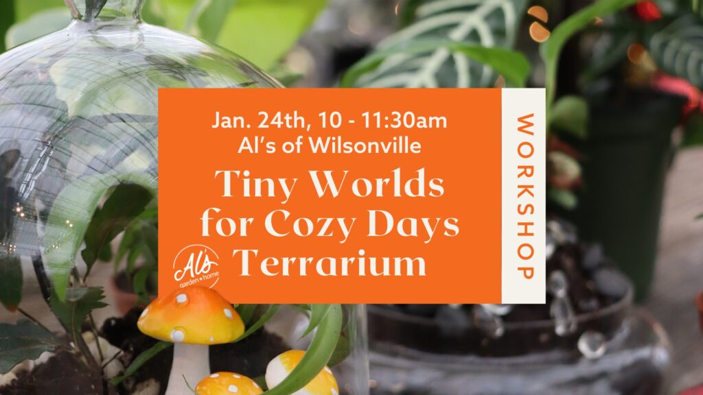 Tiny Worlds for Cozy Days Terrarium Workshop event poster