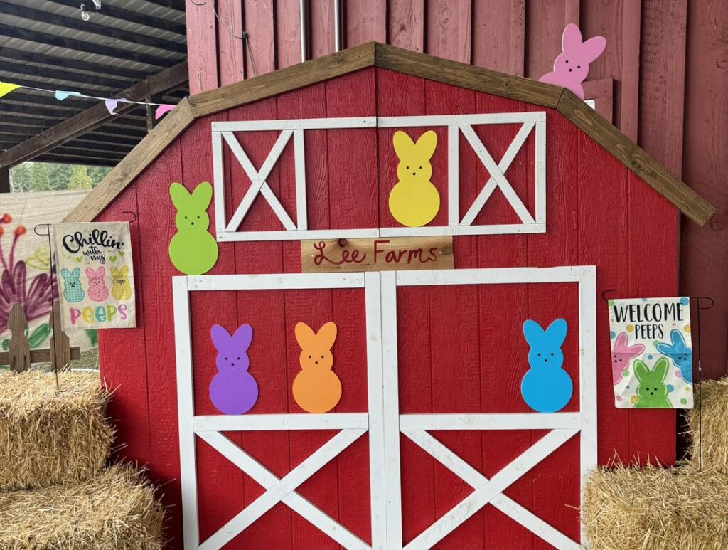 photo of a fake barn with Peeps and hay bales surrounding it