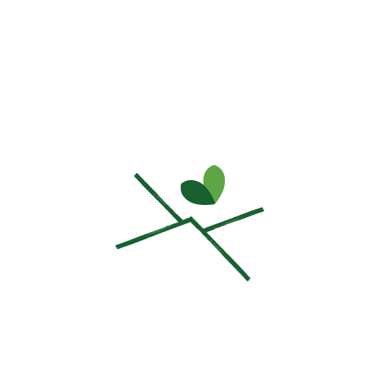 Invite Explore Repeat
