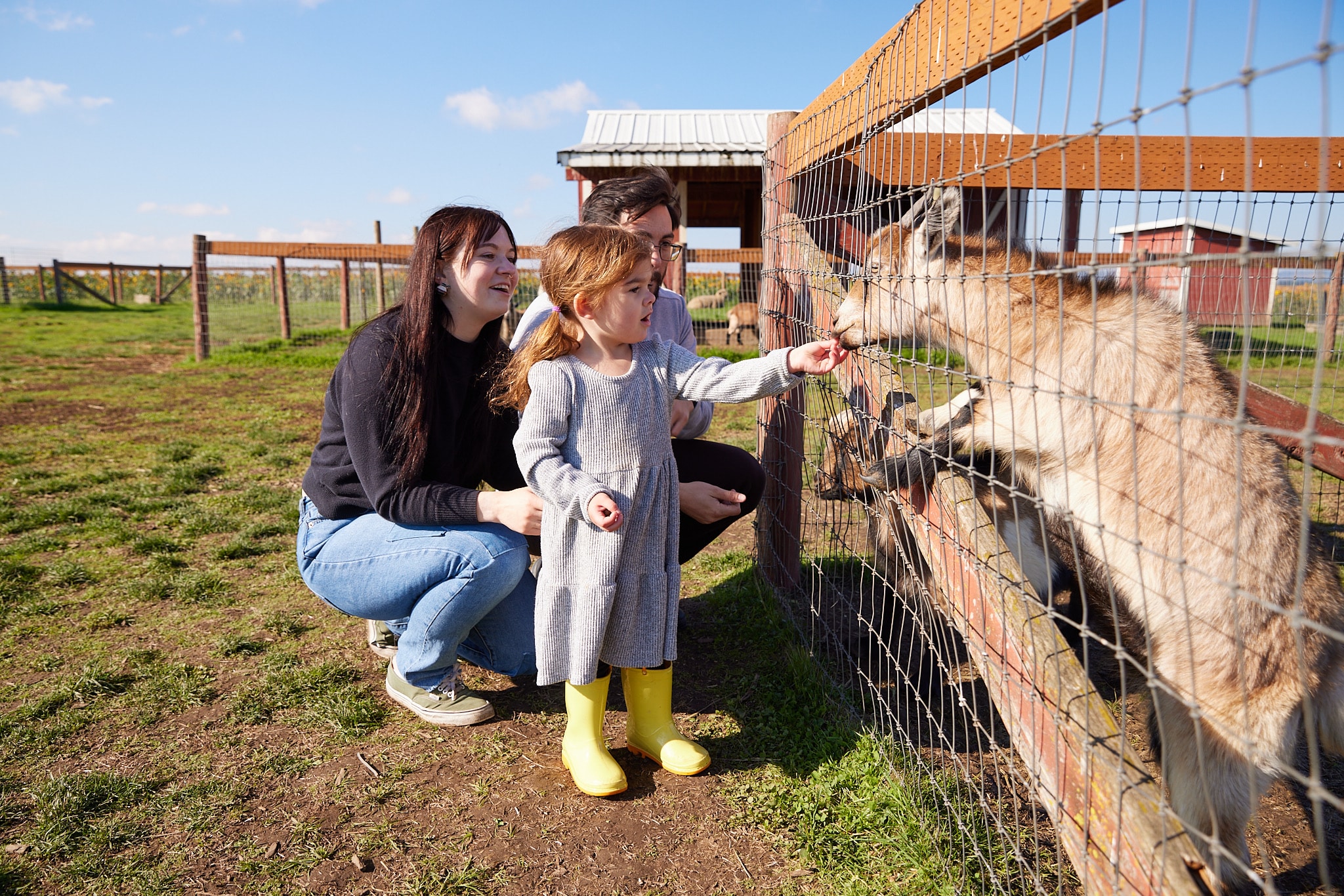Family feeding a goat at a local farm