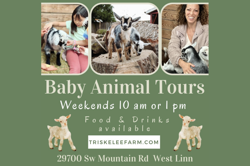 Triskelee Farms Baby Animal Tours event graphic with event details