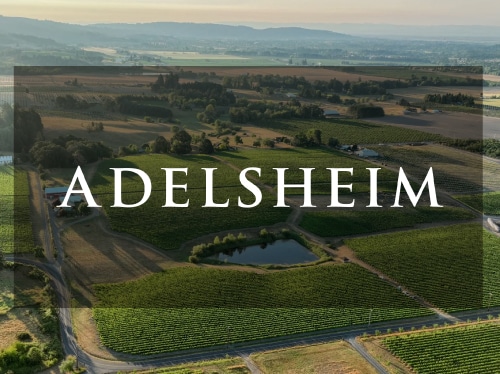 aerial photo of Adelsheim vineyard in Newberg, Oregon