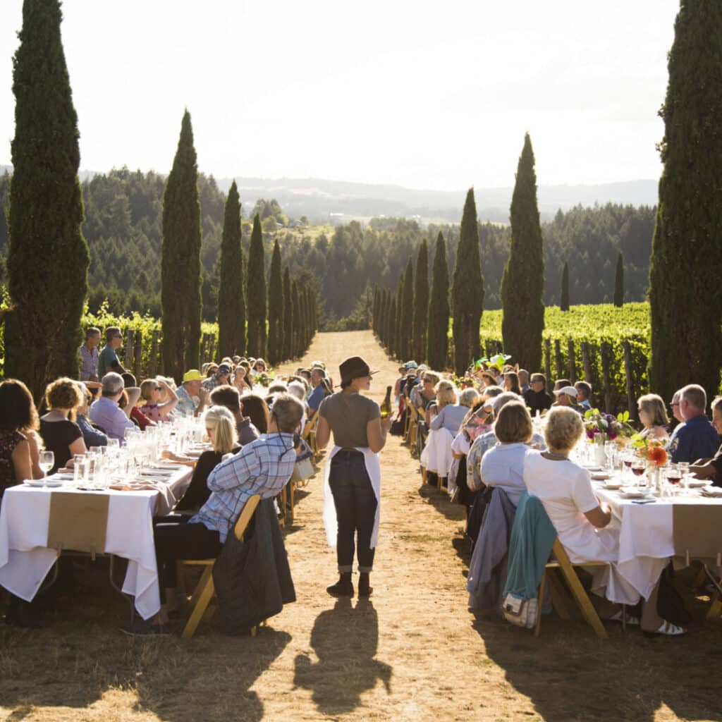 photo of Alloro Vineyard