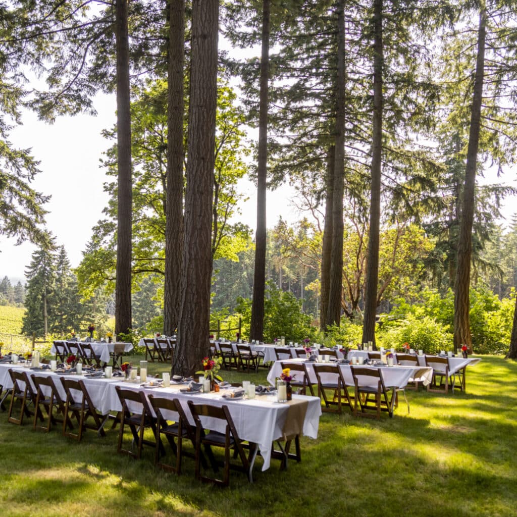 Photo of Campbell Lane Vineyard