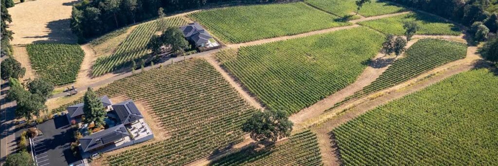 aerial photo of Ambar Vineyard