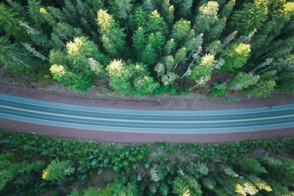 Aerial shot of a winding road through a lush coniferous forest in Oregon, USA, during summer | 66 Hours in Wilsonville, Oregon