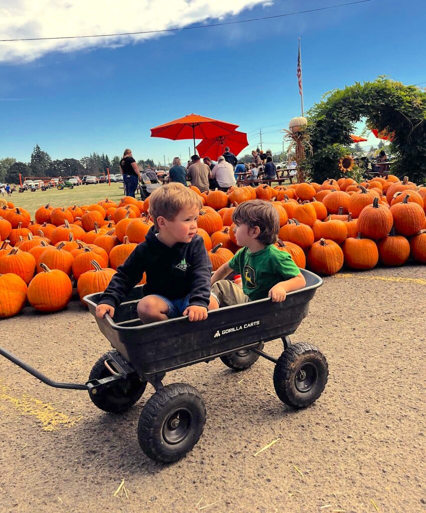 Fir Point Farms Harvest Festival and Pumpkin Patch photo