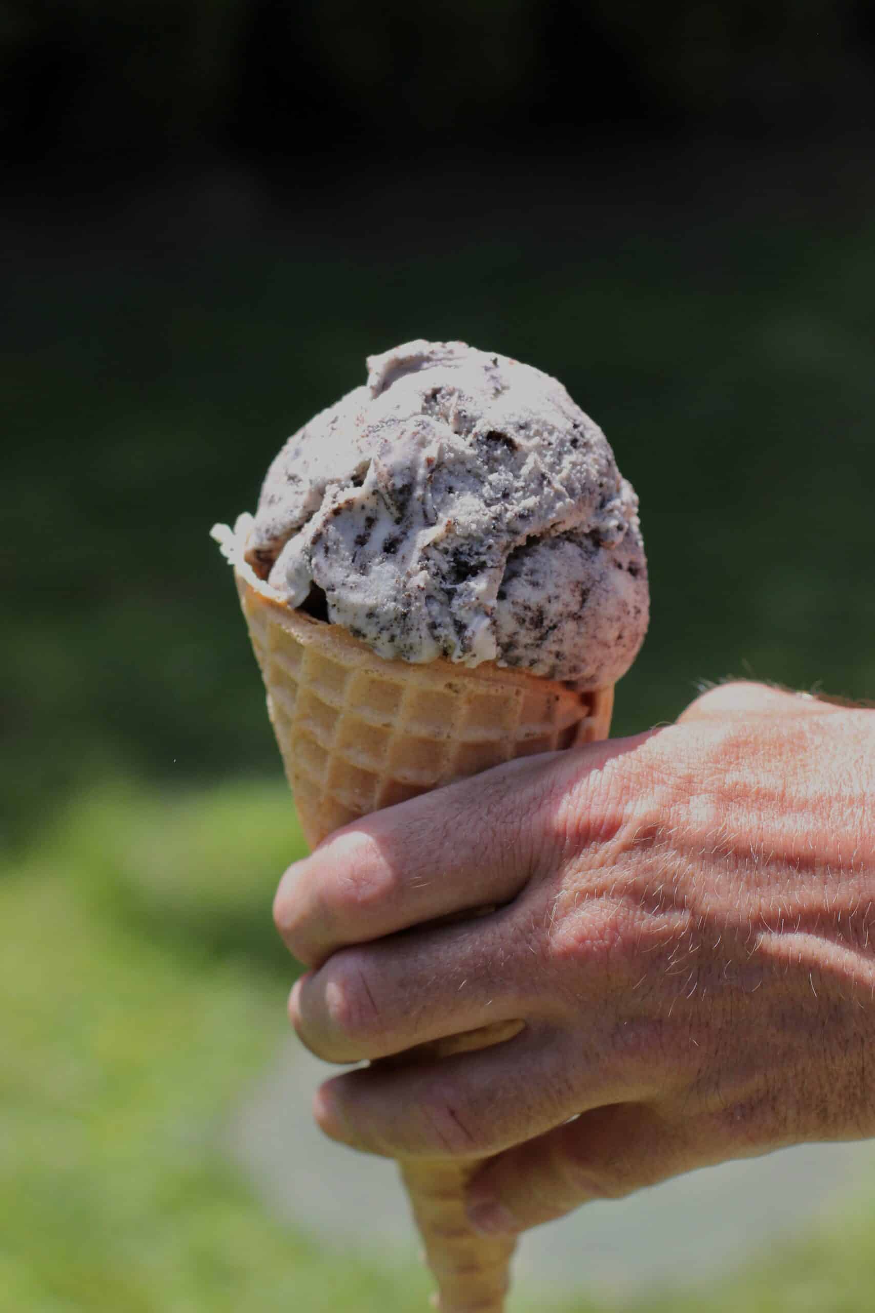 photo of Half Pint Brothers Ice Cream cone taken outside the Historic Butteville Store near Wilsonville, Oregon | Meet the People Behind Three of Wilsonville's Summer Gems