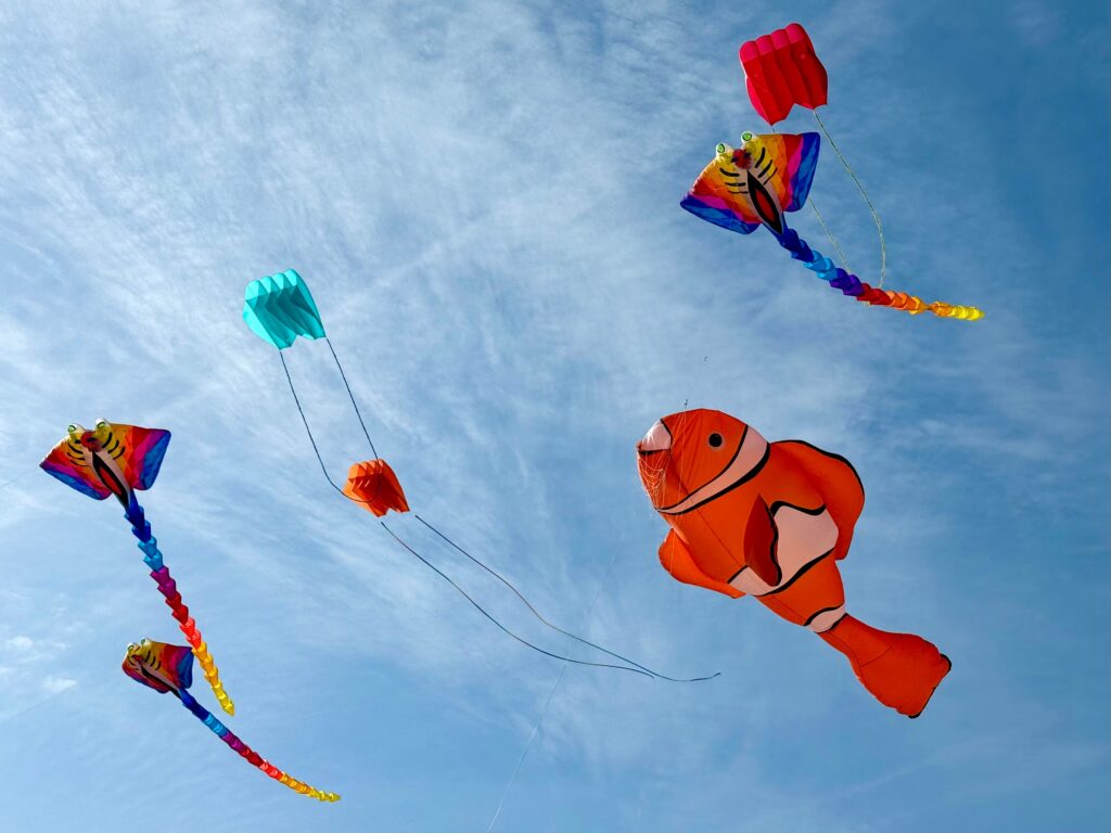 photo of a kite festival near Wilsonville, Oregon